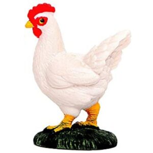 A cute and small Miniature Rooster with white background