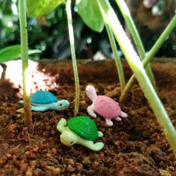 Small and colorful Miniature Turtle on a soil with some herbs stem in the background.