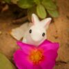 A cute and small Miniature rabbit is kept near a beautiful flower with some herbs in the background.