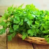 This is an image of Parsley Herb in a wooden basket kept on top of wooden table.