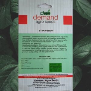 This is an image of the back side of a packet of Demand Agro Strawberry Seeds kept against a green leafy background.