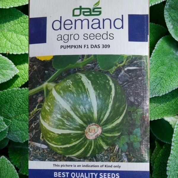 This is an image of a packet of Demand Agro Pumpkin F1 Das Seeds kept against greenery background.