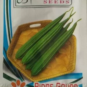 This is an image of a packet of Raunak Seeds Ridge Gourd Seeds.