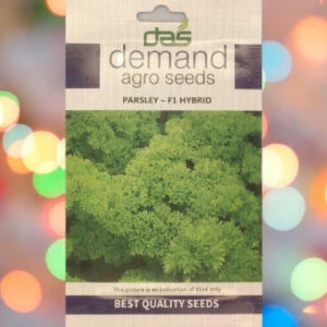 A packet of Demand Agro Parsley F1 Hybrid Seeds kept against a colorful background.