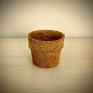 This is an image of 4 Inch Coir Pot kept against light color background.