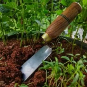 This is an image of a Trowel/ Spade/ Desi Khurpa kept in soil with small plant saplings in background.