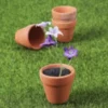Mini Terracota Pots with beautiful plants