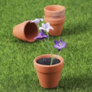 This is an image of Mini Terracota Pots with a beautiful plant planted in one of the pot.