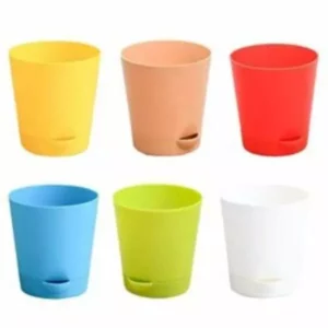 This is an image of six Self Watering Pot of different colors kept against white color background.