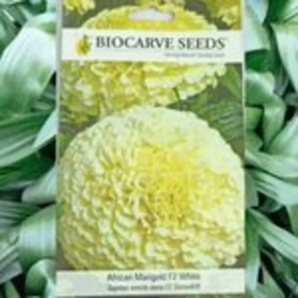 A packet of Biocarve African Marigold Seeds in a green leafy background