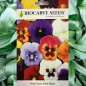 This is an image of a packet of Biocarve Pansy Swiss Giant Mix Seeds kept against green leafy background.