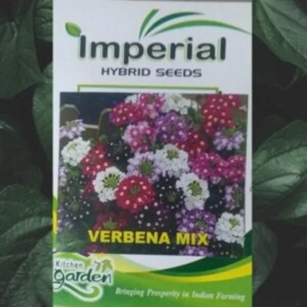 A packet of Imperial Hybrid Verbena Mix Seeds kept against a colourful light background