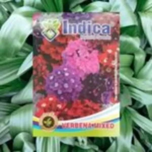 This is an image of a packet of Indica Hybrid Verbena Mixed Seeds kept against green leafy background.