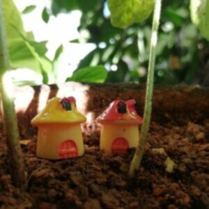 This is an image of Miniature Mushroom House placed on mud along with small plants nearby.