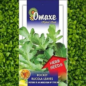 A packet of Omaxe Rocket Rucola Leaves Seeds kept against a leafy background.
