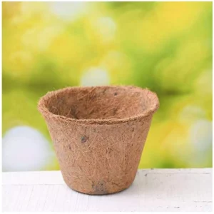 This is an image of Coir Pot 6 inch kept against light color background.