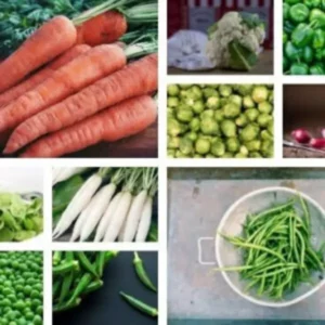 Collage Image of multiple vegetables - Winter Veggies Seeds