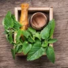 This is an image of Lemon Balm herb leaves kept in wooden box against wooden background.