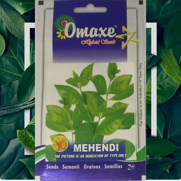This is an image of omaxe mehendi plant seeds