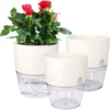 This is an image of three wick self watering pot with flowering plant planted in one of them kept against white color background.
