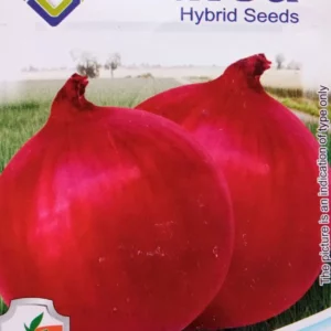 This is an image of a packet of Indica Onion Bombay Red Seed.