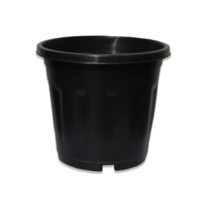 This is an image of Gardening Pot 2 inch