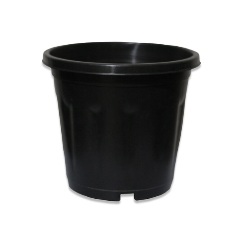 This is an image of black color Gardening Pot 3-inch kept against white color background.