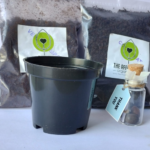 This is an image of Sustainable seed bottle gift pack