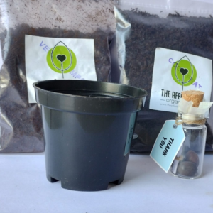 This is an image of Sustainable Seed bottle gift pack.