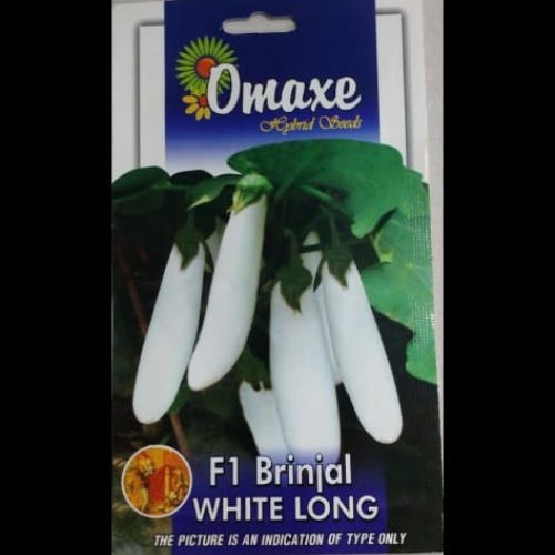 This is an image Omaxe F1 Brinjal White Long