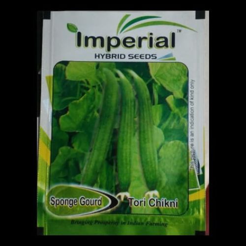 This is an image of Imperial Sponge Guard Tori Chikni Seeds
