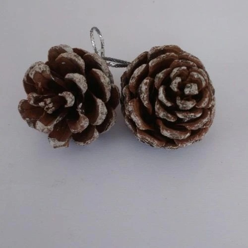 This is an image Wooden Pine Cones