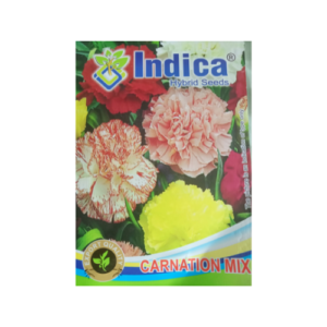 This is an image of a packet of Indica Hybrid Carnation Mix Seeds kept against white color background.