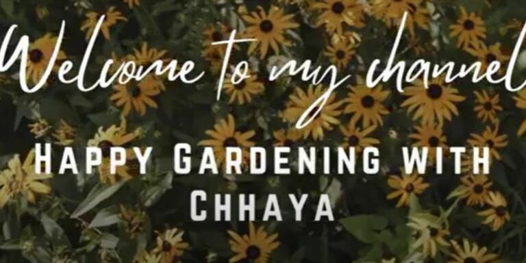 Happy Gardening With Chhaya