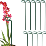 This is an image of Metal Plant Support Stakes and flower plant that is supported by Metal Plant Support Stake kept against white color background.