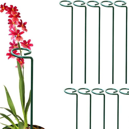 This is an image of Metal Plant Support Stakes and flower plant that is supported by Metal Plant Support Stake kept against white color background.