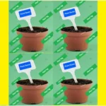 This is an image of a T-Shaped Garden Label of white color inserted into a pot kept against green color background.