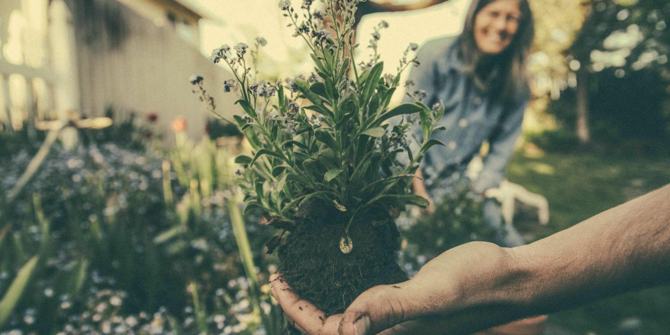 5 Gardening Influencers To Follow In May