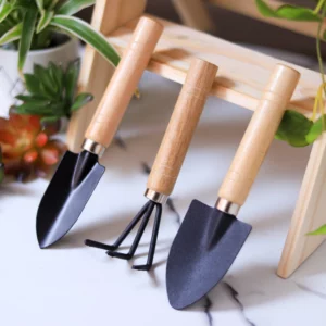 This is an image of Indoor Gardening Tools Set (Cultivator, Small Trowel & Gardening Fork) with plants and wooden furniture in background.