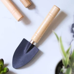 This is an image of Indoor Gardening Tools Set (Cultivator, Small Trowel & Gardening Fork) kept against white color background.
