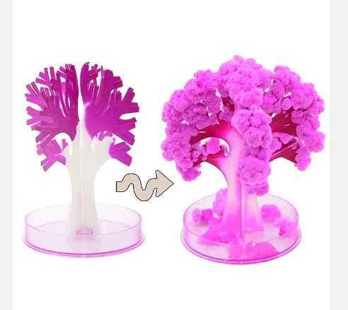 Buy Magic Bloom Mini Sakura Tree (1pc) - Rs.299/- sale online India